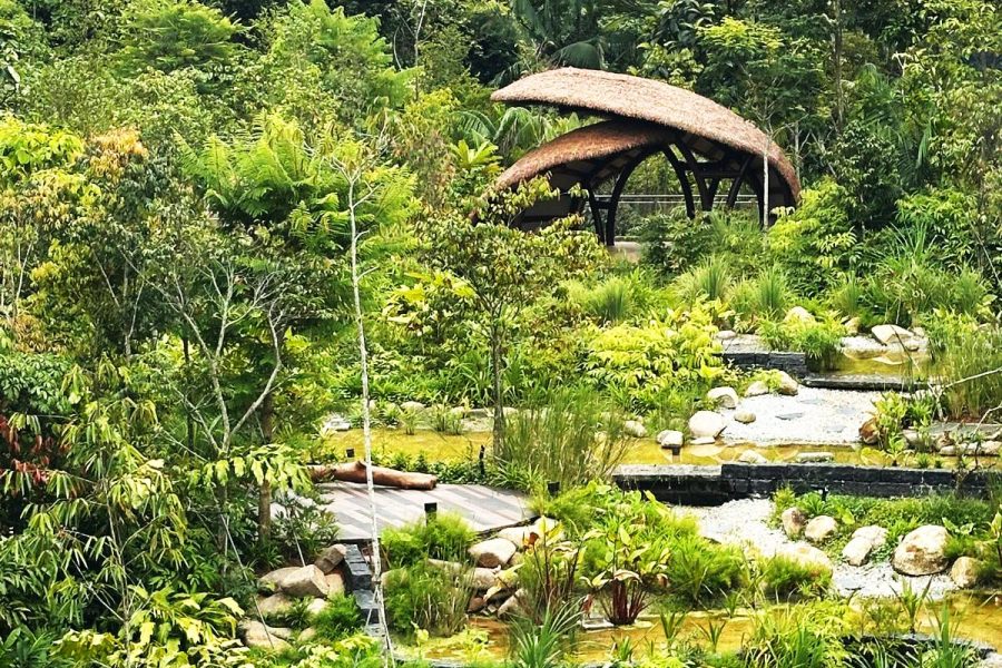 ENIA_Wetland