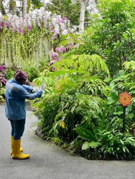 Landscape Maintenance1