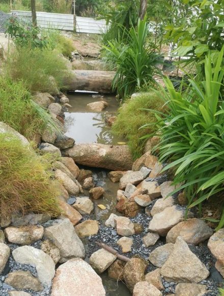 Swale1